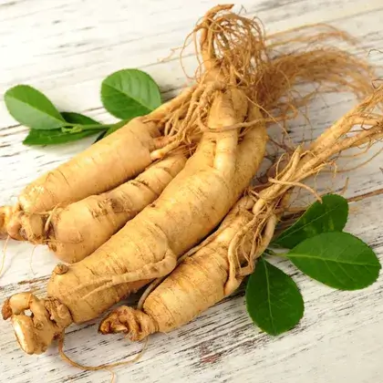 #5. Женьшень